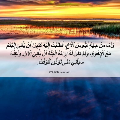 Picture 06 - ١ كورنثوس 16:12 AVD - وَأَمَّا مِنْ جِهَةِ - Bible Verse Picture