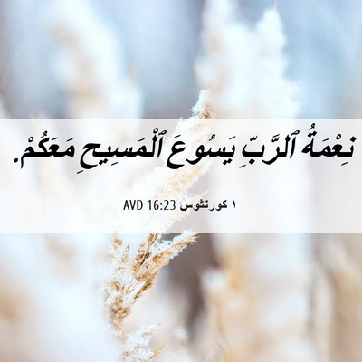 Picture 06 - ١ كورنثوس 16:23 AVD - نِعْمَةُ ٱلرَّبِّ يَسُوعَ - Bible Verse Picture
