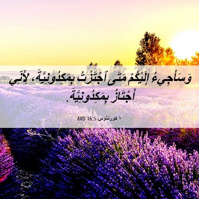 Picture 06 - ١ كورنثوس 16:5 AVD - وَسَأَجِيءُ إِلَيْكُمْ - Bible Verse Picture