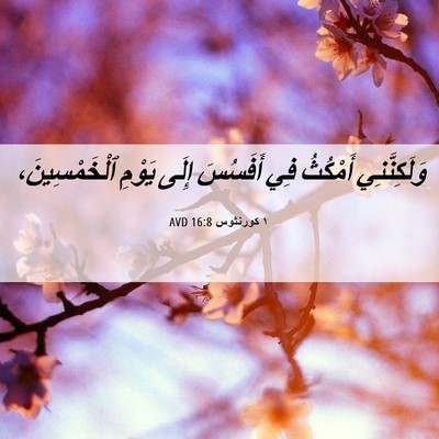 Picture 06 - ١ كورنثوس 16:8 AVD - وَلَكِنَّنِي أَمْكُثُ فِي - Bible Verse Picture