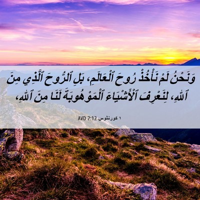 Picture 06 - ١ كورنثوس 2:12 AVD - وَنَحْنُ لَمْ نَأْخُذْ - Bible Verse Picture