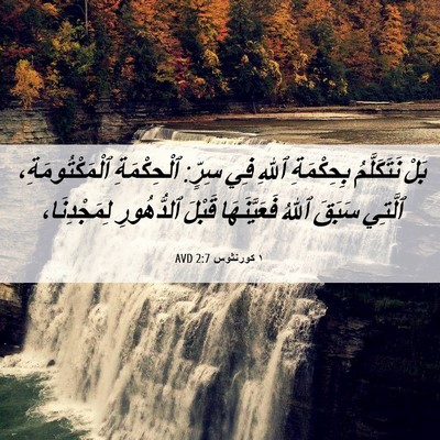 Picture 06 - ١ كورنثوس 2:7 AVD - بَلْ نَتَكَلَّمُ - Bible Verse Picture