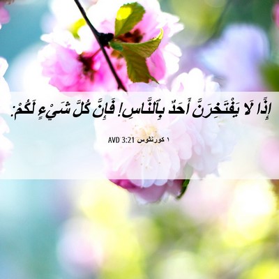 Picture 06 - ١ كورنثوس 3:21 AVD - إِذًا لَا يَفْتَخِرَنَّ - Bible Verse Picture