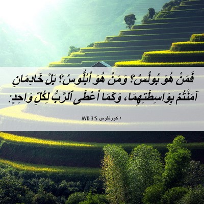 Picture 06 - ١ كورنثوس 3:5 AVD - فَمَنْ هُوَ بُولُسُ؟ - Bible Verse Picture