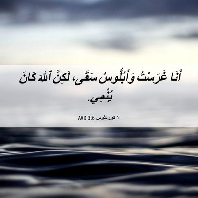 Picture 06 - ١ كورنثوس 3:6 AVD - أَنَا غَرَسْتُ - Bible Verse Picture