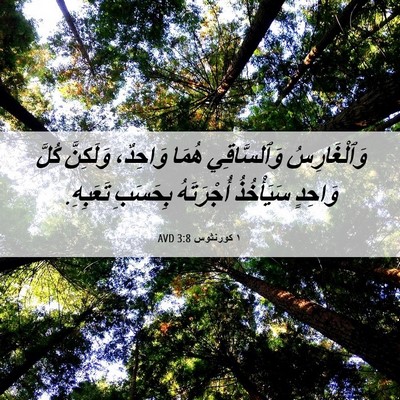 Picture 06 - ١ كورنثوس 3:8 AVD - وَٱلْغَارِسُ وَٱلسَّاقِي - Bible Verse Picture