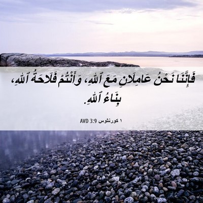 Picture 06 - ١ كورنثوس 3:9 AVD - فَإِنَّنَا نَحْنُ - Bible Verse Picture