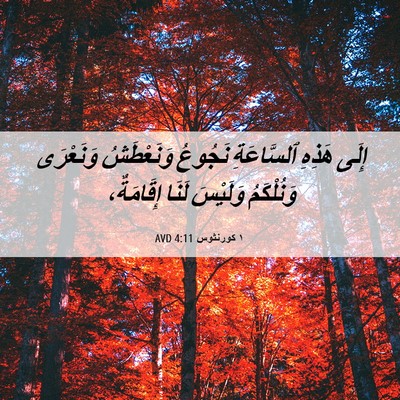 Picture 06 - ١ كورنثوس 4:11 AVD - إِلَى هَذِهِ ٱلسَّاعَةِ - Bible Verse Picture