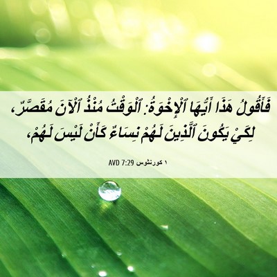 Picture 06 - ١ كورنثوس 7:29 AVD - فَأَقُولُ هَذَا أَيُّهَا - Bible Verse Picture