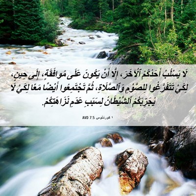 Picture 06 - ١ كورنثوس 7:5 AVD - لَا يَسْلُبْ أَحَدُكُمُ - Bible Verse Picture