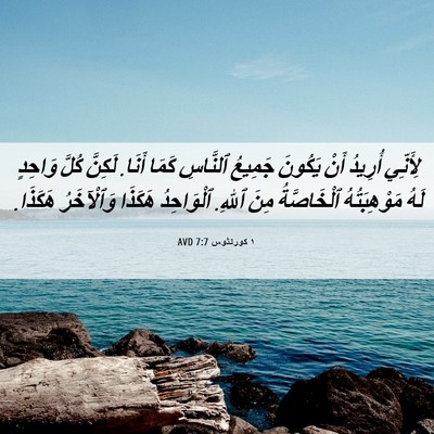 Picture 06 - ١ كورنثوس 7:7 AVD - لِأَنِّي أُرِيدُ أَنْ - Bible Verse Picture
