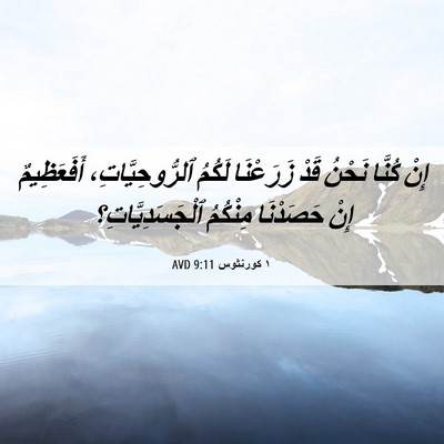 Picture 06 - ١ كورنثوس 9:11 AVD - إِنْ كُنَّا نَحْنُ قَدْ - Bible Verse Picture