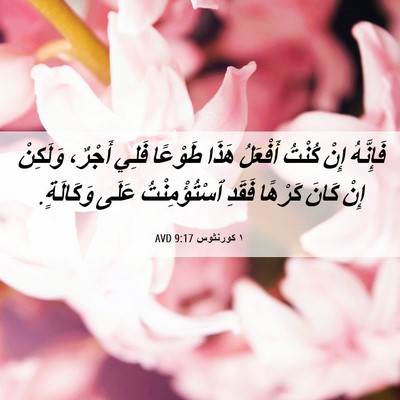 Picture 06 - ١ كورنثوس 9:17 AVD - فَإِنَّهُ إِنْ كُنْتُ - Bible Verse Picture