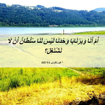 Picture 06 - ١ كورنثوس 9:6 AVD - أَمْ أَنَا وَبَرْنَابَا - Bible Verse Picture
