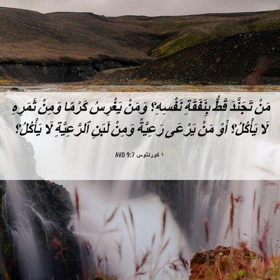 Picture 06 - ١ كورنثوس 9:7 AVD - مَنْ تَجَنَّدَ قَطُّ - Bible Verse Picture