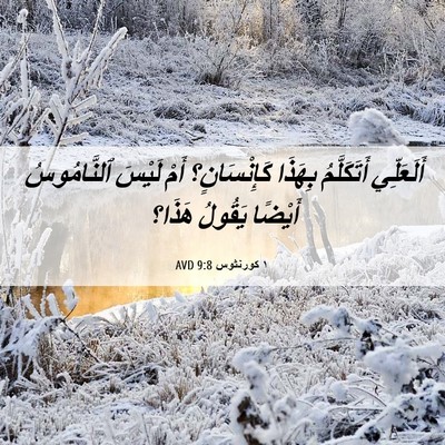 Picture 06 - ١ كورنثوس 9:8 AVD - أَلَعَلِّي أَتَكَلَّمُ - Bible Verse Picture