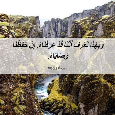 Picture 06 - ١ يوحنَّا 2:3 AVD - وَبِهَذَا نَعْرِفُ - Bible Verse Picture