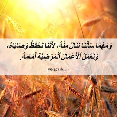 Picture 06 - ١ يوحنَّا 3:22 AVD - وَمَهْمَا سَأَلْنَا - Bible Verse Picture