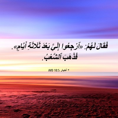 Picture 06 - ٢ أخبار 10:5 AVD - فَقَالَ لَهُمُ: «ٱرْجِعُوا - Bible Verse Picture