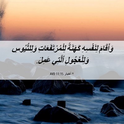 Picture 06 - ٢ أخبار 11:15 AVD - وَأَقَامَ لِنَفْسِهِ - Bible Verse Picture