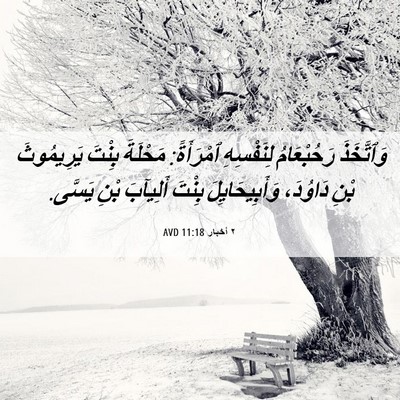 Picture 06 - ٢ أخبار 11:18 AVD - وَٱتَّخَذَ رَحُبْعَامُ - Bible Verse Picture