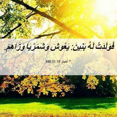 Picture 06 - ٢ أخبار 11:19 AVD - فَوَلَدَتْ لَهُ بَنِينَ: - Bible Verse Picture