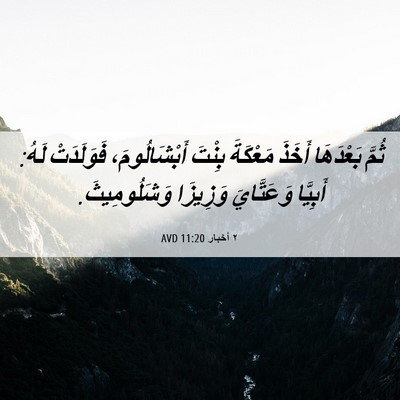 Picture 06 - ٢ أخبار 11:20 AVD - ثُمَّ بَعْدَهَا أَخَذَ - Bible Verse Picture