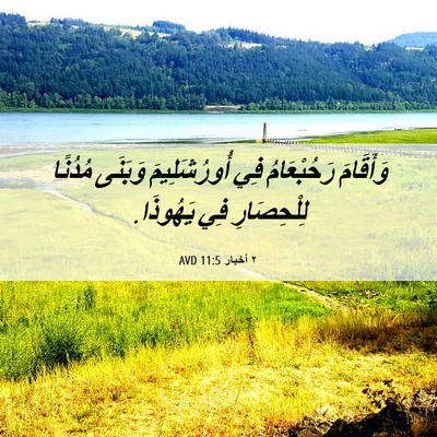 Picture 06 - ٢ أخبار 11:5 AVD - وَأَقَامَ رَحُبْعَامُ فِي - Bible Verse Picture