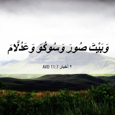 Picture 06 - ٢ أخبار 11:7 AVD - وَبَيْتَ صُورَ وَسُوكُوَ - Bible Verse Picture