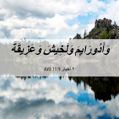 Picture 06 - ٢ أخبار 11:9 AVD - وَأَدُورَايِمَ وَلَخِيشَ - Bible Verse Picture