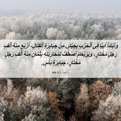 Picture 06 - ٢ أخبار 13:3 AVD - وَٱبْتَدَأَ أَبِيَّا فِي - Bible Verse Picture