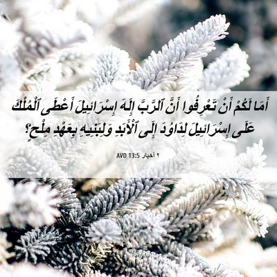 Picture 06 - ٢ أخبار 13:5 AVD - أَمَا لَكُمْ أَنْ - Bible Verse Picture