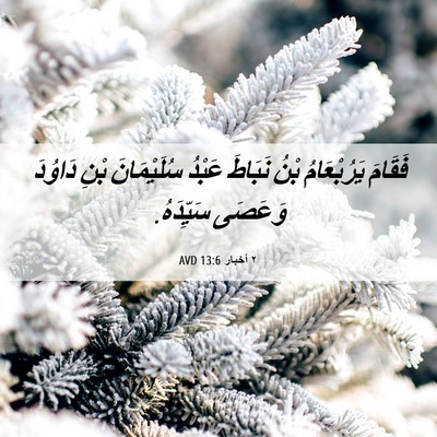 Picture 06 - ٢ أخبار 13:6 AVD - فَقَامَ يَرُبْعَامُ بْنُ - Bible Verse Picture