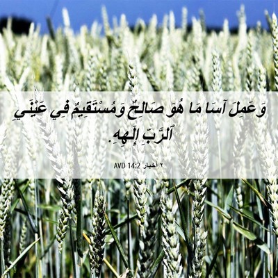 Picture 06 - ٢ أخبار 14:2 AVD - وَعَمِلَ آسَا مَا هُوَ - Bible Verse Picture
