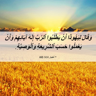 Picture 06 - ٢ أخبار 14:4 AVD - وَقَالَ لِيَهُوذَا أَنْ - Bible Verse Picture