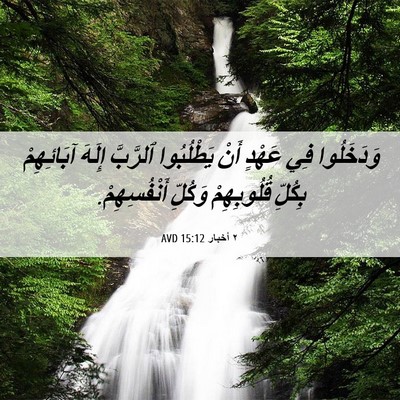 Picture 06 - ٢ أخبار 15:12 AVD - وَدَخَلُوا فِي عَهْدٍ أَنْ - Bible Verse Picture