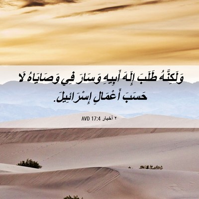 Picture 06 - ٢ أخبار 17:4 AVD - وَلَكِنَّهُ طَلَبَ إِلَهَ - Bible Verse Picture