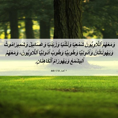 Picture 06 - ٢ أخبار 17:8 AVD - وَمَعَهُمُ ٱللَّاوِيُّونَ - Bible Verse Picture