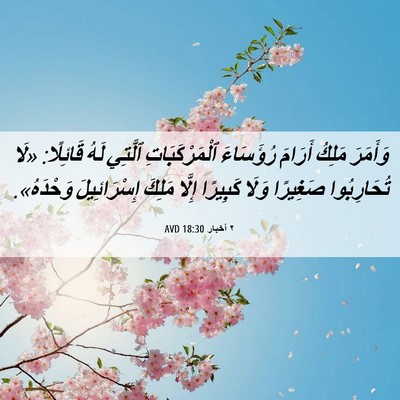 Picture 06 - ٢ أخبار 18:30 AVD - وَأَمَرَ مَلِكُ أَرَامَ - Bible Verse Picture
