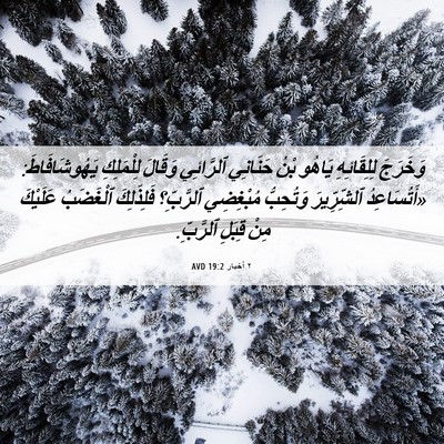 Picture 06 - ٢ أخبار 19:2 AVD - وَخَرَجَ لِلِقَائِهِ - Bible Verse Picture