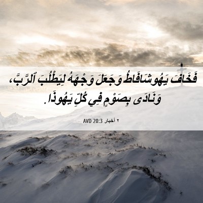 Picture 06 - ٢ أخبار 20:3 AVD - فَخَافَ يَهُوشَافَاطُ - Bible Verse Picture