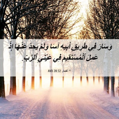 Picture 06 - ٢ أخبار 20:32 AVD - وَسَارَ فِي طَرِيقِ - Bible Verse Picture