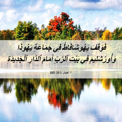 Picture 06 - ٢ أخبار 20:5 AVD - فَوَقَفَ يَهُوشَافَاطُ - Bible Verse Picture
