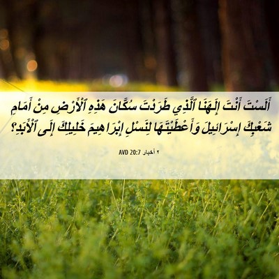 Picture 06 - ٢ أخبار 20:7 AVD - أَلَسْتَ أَنْتَ إِلَهَنَا - Bible Verse Picture