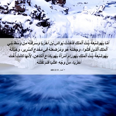 Picture 06 - ٢ أخبار 22:11 AVD - أَمَّا يَهُوشَبْعَةُ - Bible Verse Picture