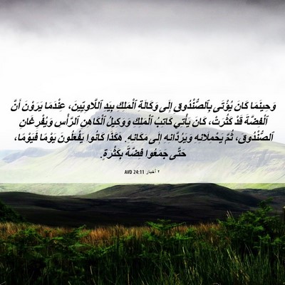 Picture 06 - ٢ أخبار 24:11 AVD - وَحِينَمَا كَانَ يُؤْتَى - Bible Verse Picture