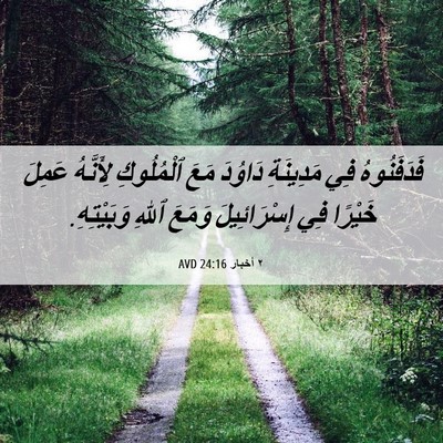 Picture 06 - ٢ أخبار 24:16 AVD - فَدَفَنُوهُ فِي مَدِينَةِ - Bible Verse Picture