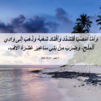 Picture 06 - ٢ أخبار 25:11 AVD - وَأَمَّا أَمَصْيَا - Bible Verse Picture