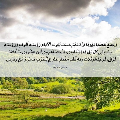 Picture 06 - ٢ أخبار 25:5 AVD - وَجَمَعَ أَمَصْيَا - Bible Verse Picture