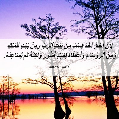 Picture 06 - ٢ أخبار 28:21 AVD - لِأَنَّ آحَازَ أَخَذَ - Bible Verse Picture
